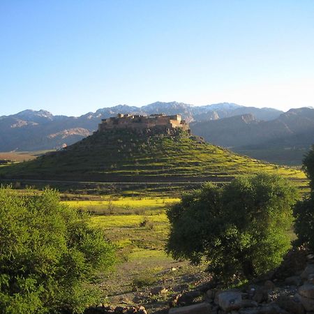 Tizourgane Kasbah Tiguissas Exterior foto